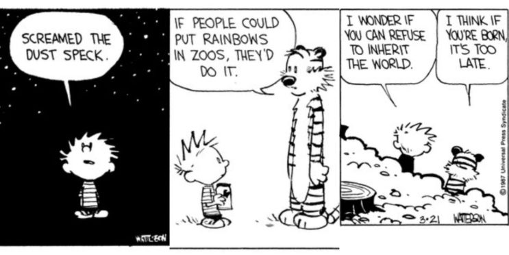 10 Darkest Calvin And Hobbes Comics Of All Time