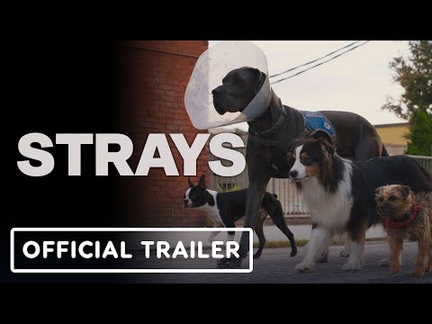 Strays – Official Red Band Trailer (2023) Will Ferrell, Jamie Fox, Randall Park