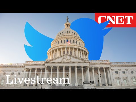 WATCH: Former Twitter Execs Testify at Congress – LIVE