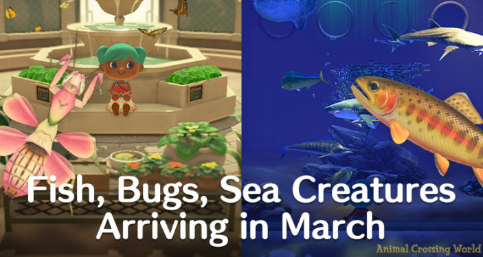 Animal Crossing: Everything New in March 2023 (Bugs, Fish, Seasonal Items)