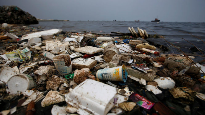 Bacteria and the Sun Can Destroy Ocean Plastic—but Is It the Fix We Need?