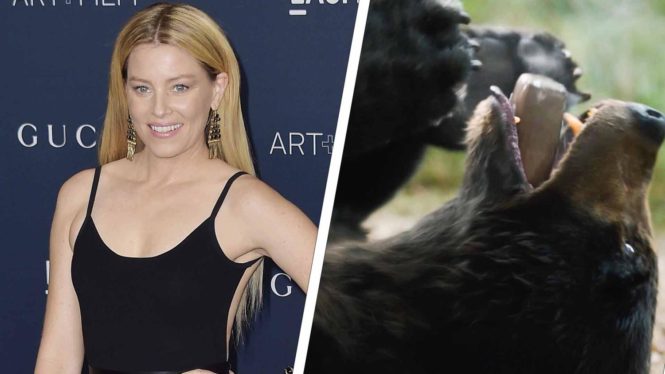 Cocaine Bear Director Elizabeth Banks Is Open To Directing The DCU [EXCLUSIVE]