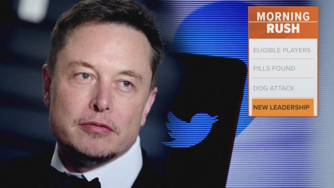 Elon Musk Hopes to Have New Twitter CEO By Year’s End