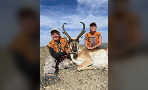 Elon Musk Unlocks Twitter Account of Senator Who Made a Dead Antelope His Profile Pic