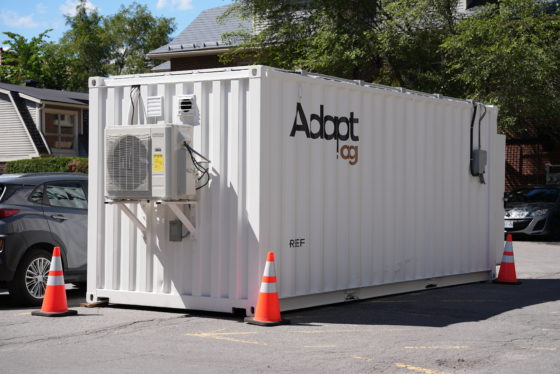 From shipping container to table: Adapt brings urban mushroom farms to US