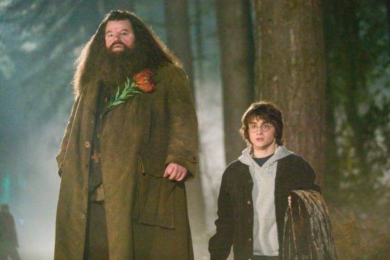 How They Made Hagrid Look So Big In Harry Potter