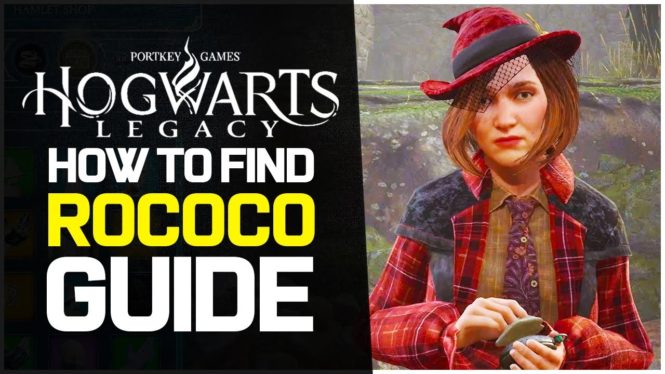 How to find Rococo the Niffler in Hogwarts Legacy