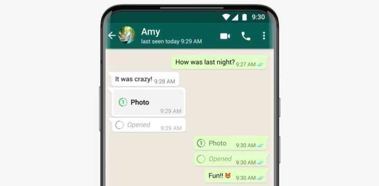 How To Use Picture-In-Picture For WhatsApp Video Calls (Android & iPhone)