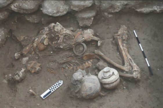 More trepanation news: Evidence of brain surgery in Bronze Age Israel