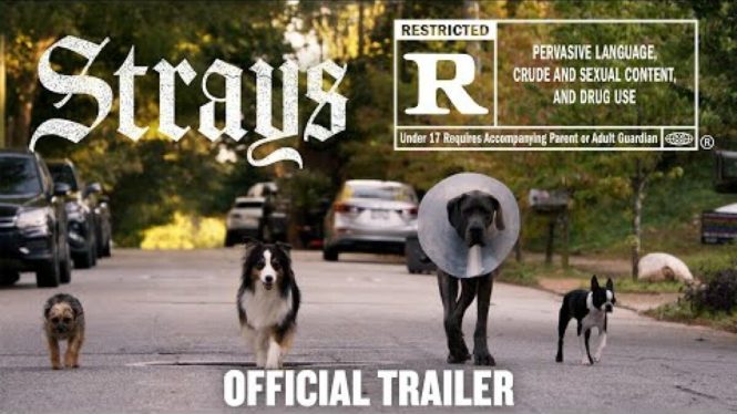 NSFW ‘Strays’ trailer teases adorable dogs on a quest for revenge