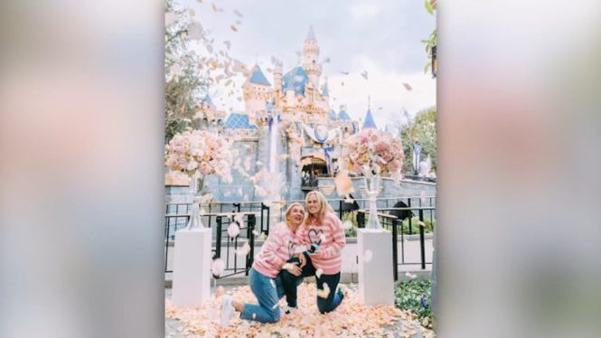 Rebel Wilson Gets Engaged to Ramona Agruma at Disneyland