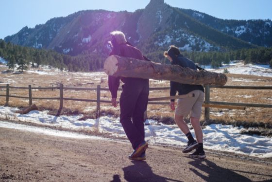 These scientists lugged logs on their heads to resolve Chaco Canyon mystery