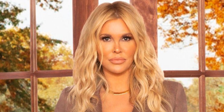 Why RHOBH Fans Are Done With Brandi Glanville