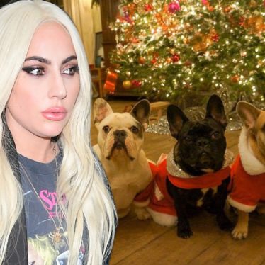 Woman Charged in Lady Gaga Dog Theft Sues Singer for $500K ‘No Questions Asked’ Reward