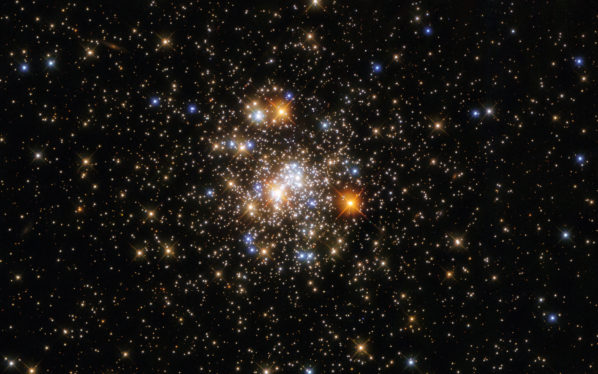 A sparkling field of stars cluster together in Hubble image