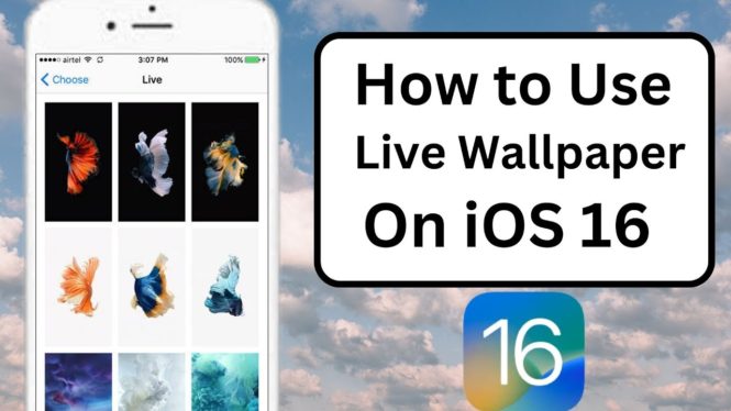 Can You Set A Live Photo As Your iPhone Wallpaper In iOS 16?