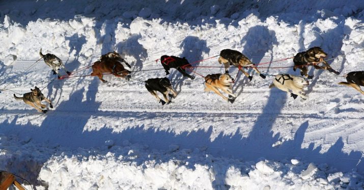 Climate Change Is Making Alaska’s Legendary Iditarod Harder to Run