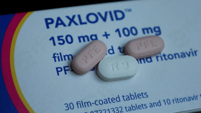F.D.A. Advisers Endorse Paxlovid’s Benefits as a Covid Treatment