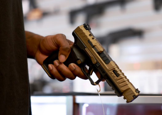 Hackers steal gun owners’ data from firearm auction website