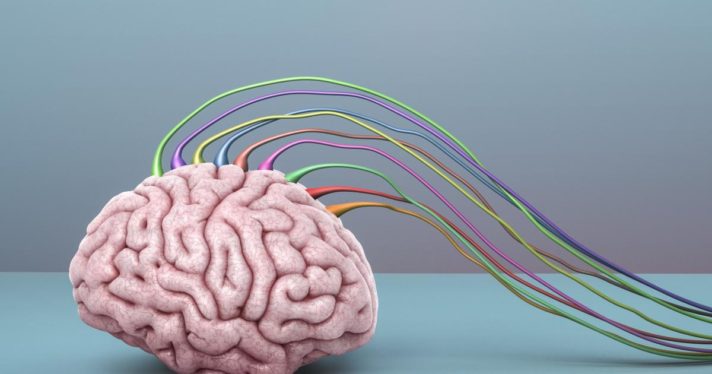 Hitting the Books: Could we zap our brains into leading healthier lives?