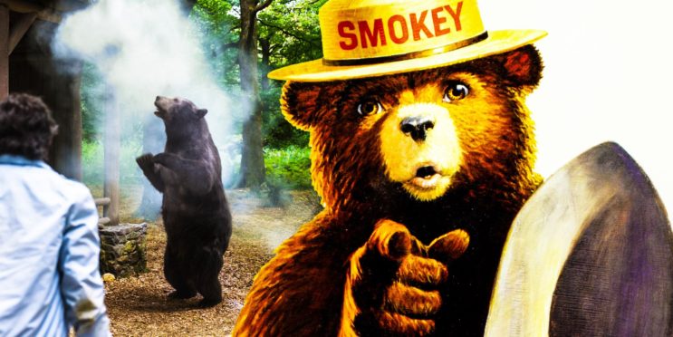 How 1 Gruesome Cocaine Bear Scene Was Foreshadowed By Smokey The Bear