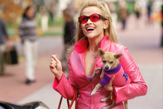 Legally Blonde 3: Release Date Prediction, Cast, Story & Everything We Know