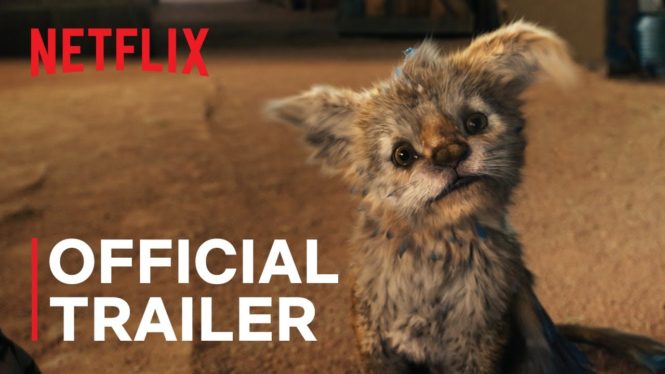Let Netflix’s Chupa Introduce Your New Adorable Critter Obsession