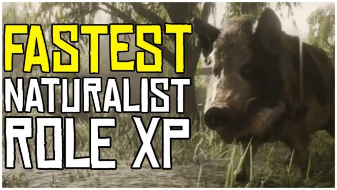 Red Dead Online: How To Level Naturalist (The Fast Way)