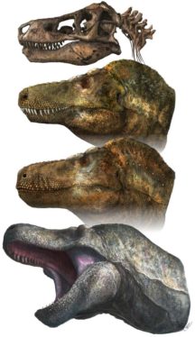Sorry, Jurassic Park: T. Rex Had Lips