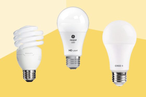 The best smart LED light bulbs for 2024