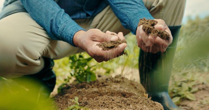 These Killer Germs Could Be Lurking In Your Lawn