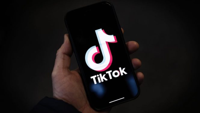 TikTok’s CEO Has a Message for Congress: America Needs This App