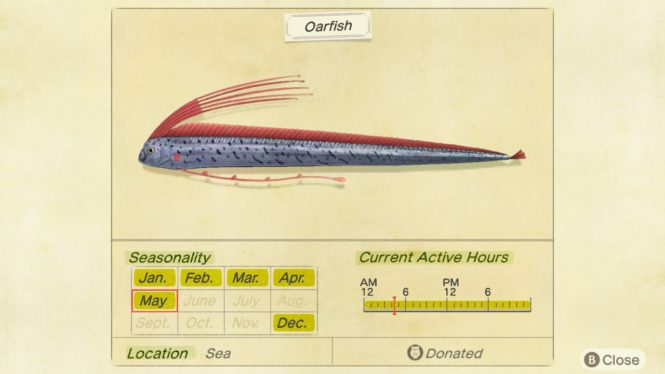 Animal Crossing New Horizons: How to Catch The Oarfish