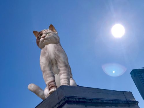 Augmented Reality Art Takes Over the Roofs of Sheffield, UK