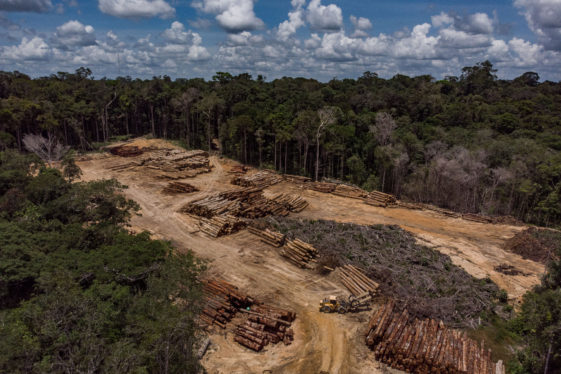 Biden Pledges $500 Million to Stop Deforestation in Brazil