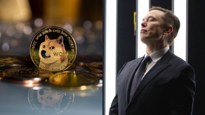 Elon ‘The Dogefather’ Musk Asks Judge to Toss $258 Billion Racketeering Lawsuit