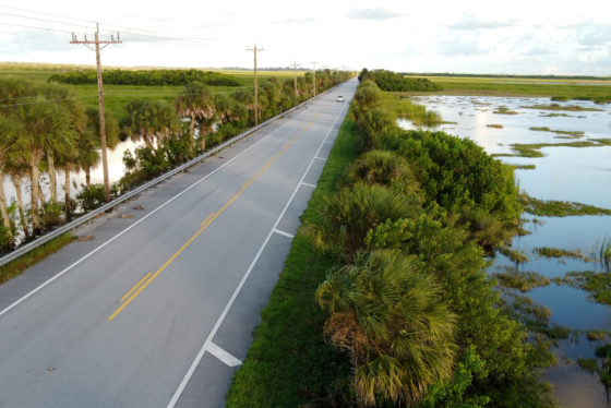 Florida Man’s reaction to car crash? Strip down to boxers, flee into swamp