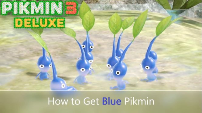 How to Get Blue Pikmin in Pikmin 3 Deluxe