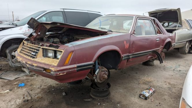 Junkyard Gem: 1981 Ford Mustang Coupe