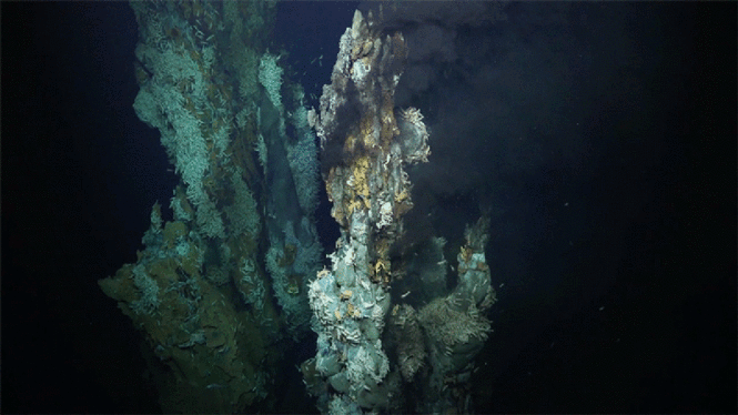 See Newly Discovered Deep Sea ‘Chimneys’ Teeming With Life