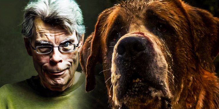 Stephen King’s Cujo Sequel Is Still A Total Mystery