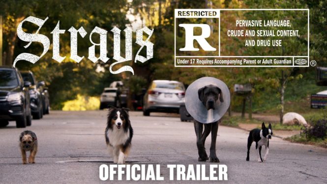 Strays: Release Date, Trailer, Cast & Everything We Know