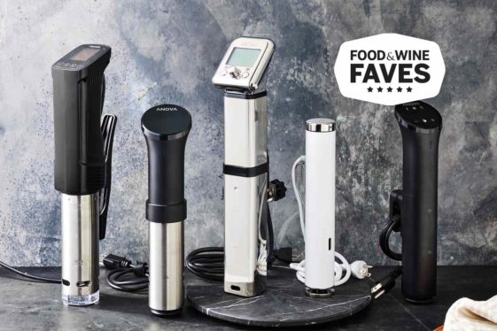 The best sous vide machines for 2024