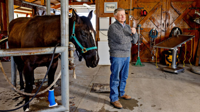 The Fight Over a Drug That Is Great for Horses but Horrific for Humans