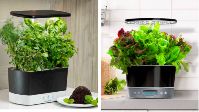 This sale gets you an AeroGarden Smart Garden from $45