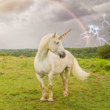 Unicorns are rare, but what about real?