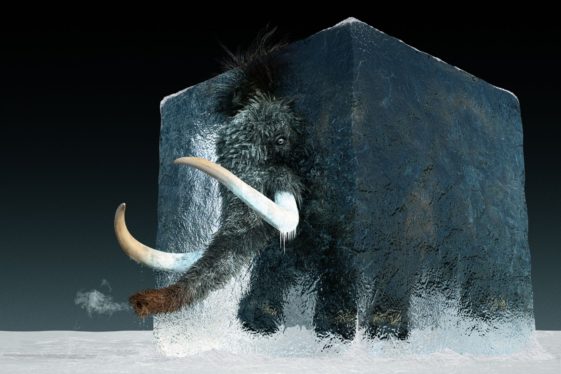 Woolly mammoth de-extinction is definitely not about making real-life Pokémon