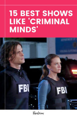 15 Best Shows Like Criminal Minds