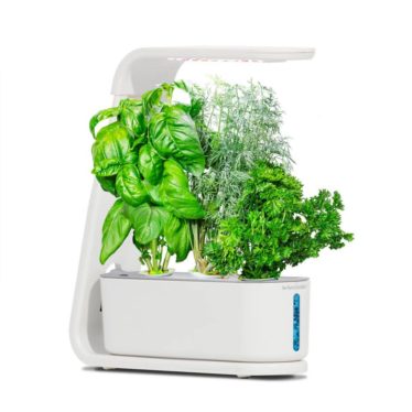 Get the AeroGarden Sprout hydroponic indoor garden for $35