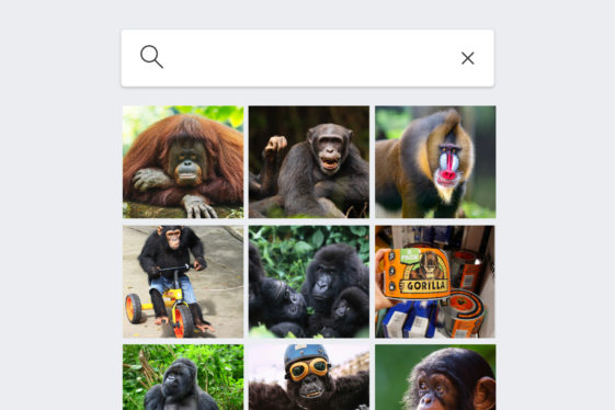 Google’s Photo App Still Can’t Find Gorillas. And Neither Can Apple’s.